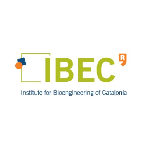 Logo de cliente: IBEC